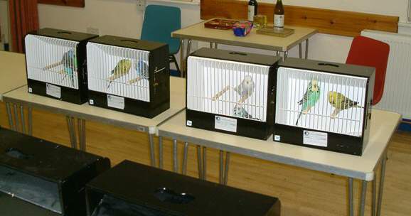 DSCF0004.jpg (25695 bytes)