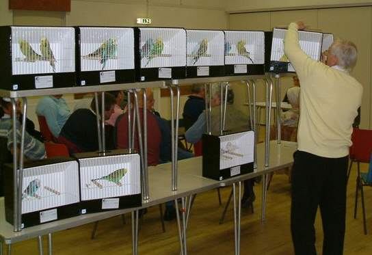 DSCF0007.jpg (29548 bytes)