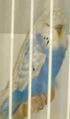 DSCF0018.jpg (7350 bytes)