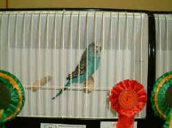 DSCF0068.JPG (60221 bytes)