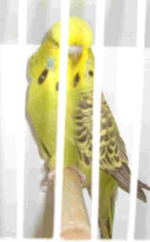 CIMG0122_2.jpg (7573 bytes)