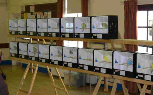 CIMG0130_2.jpg (22884 bytes)