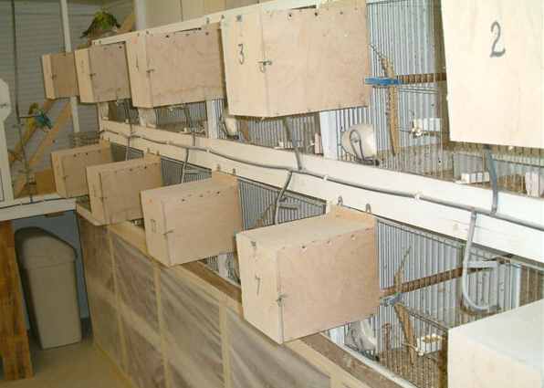 DSCF0010.jpg (23865 bytes)